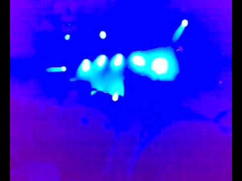 10 Days Off 2009 - Vooruit