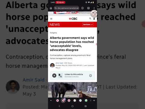 Wild Horse Round Up Continues/Canadian Wild Horse Grey Hawk Murdered