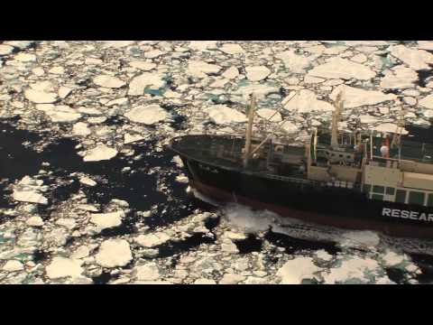 The Yushin Maru No 1 and Nisshin Maru are spotted then flee through ice fields with audio
