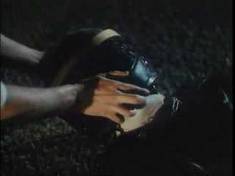 Hawaii-Bombay (Mecano) - Hawaii-Bombay (Mecano)