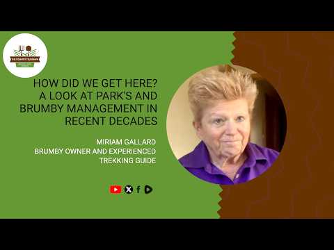 How did we get here? A look at Park's and Brumby Management in recent decades with Miriam Gallard.