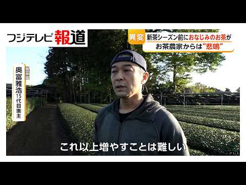 Tea Farmers in Crisis as Matcha Demand Distorts the Market