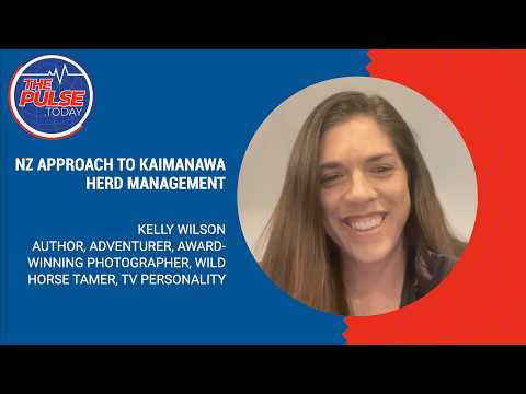 NZ approach to Kaimanawa Herd Management with Kelly Wilson on The Pulse.