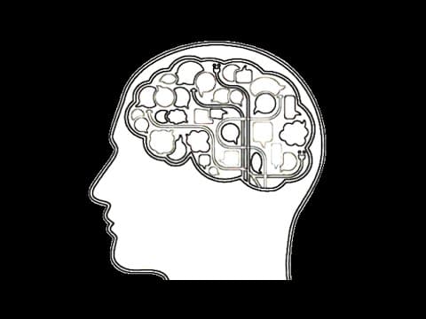 Noam Chomsky - Universal Grammar