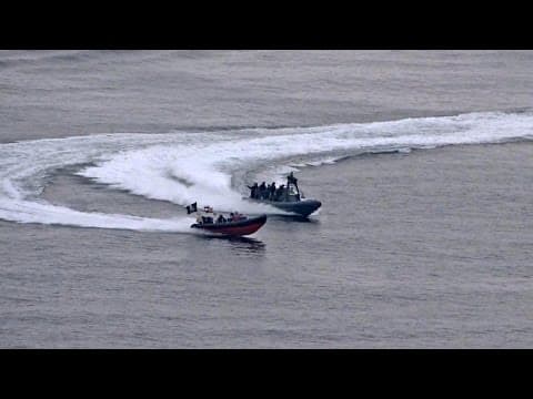 Three Sea Shepherd crewmembers arrested for saving dolphins