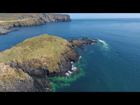 Calf of Man Seal Watch July 2018