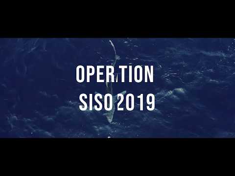 Operation Siso 2019: Sea Shepherd's Campaign to Protect the Mediterranean Sea from Illegal Fishing