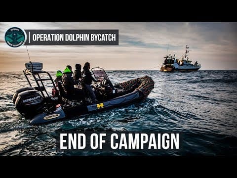 Operation Dolphin ByCatch: End of Campaign