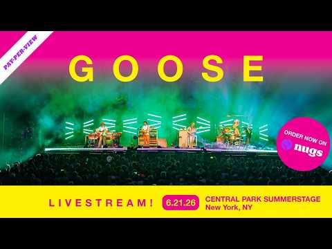 Goose - live at the festivals