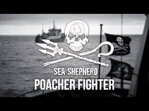 Become a Part-Time Poacher Fighter