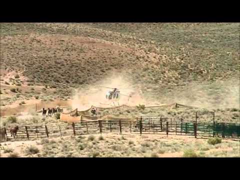 Jackson Mountain Wild Horse Gather - Day 13 June 20, 2012