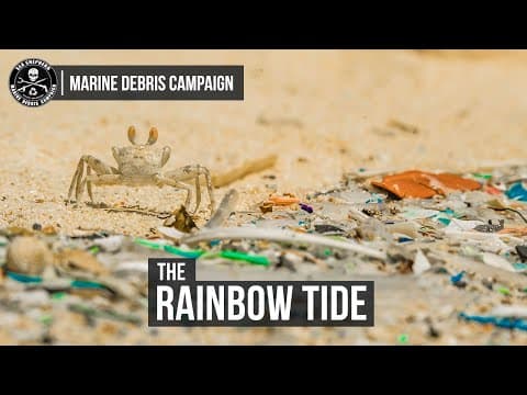The Rainbow Tide