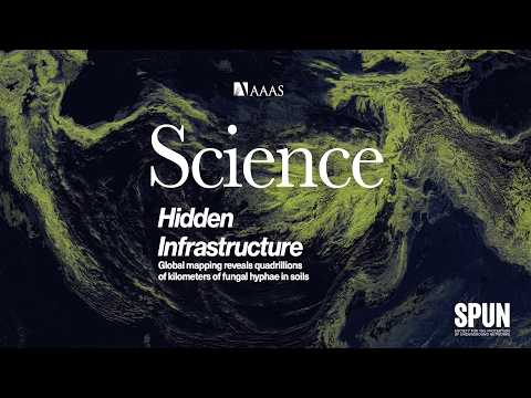Mapping 110 Quadrillion Kilometres of Fungal Threads