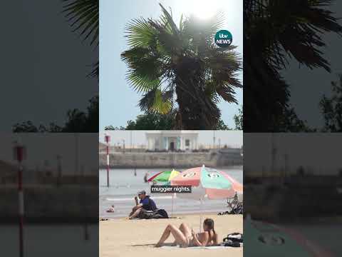 The Mediterranean marine heatwaves