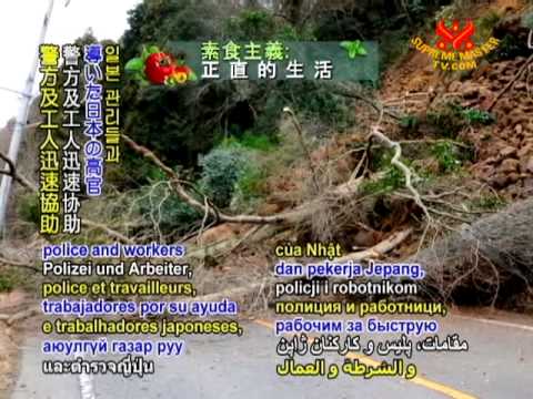 The 1984 Ontake landslide