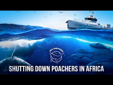 Shutting Down Poachers in Africa