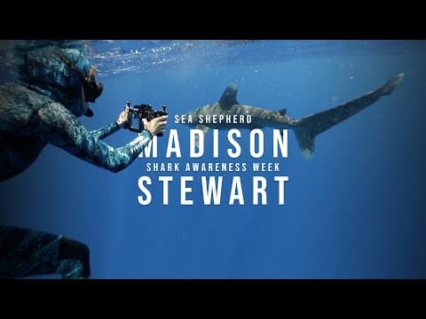 Madison Stewart - Shark Awareness Week