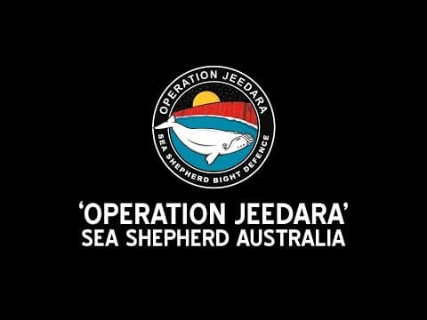 Operation Jeedara: Campaign Prelude