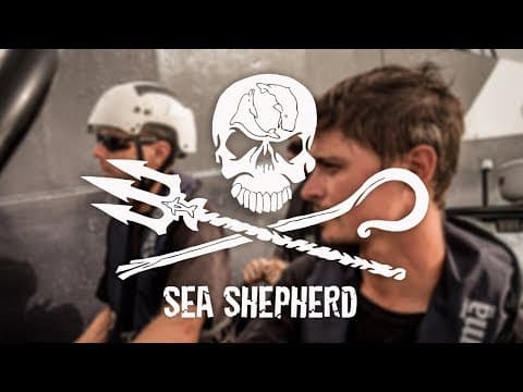 Join Sea Shepherd: Passion is All you Need