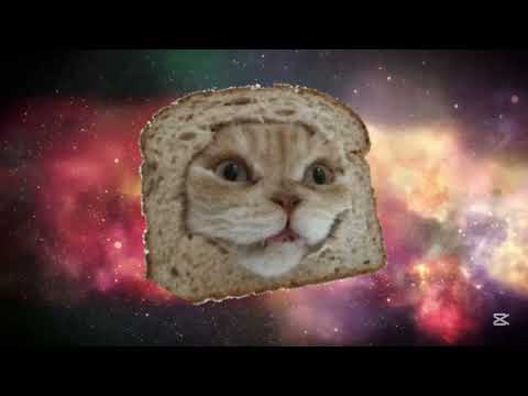 OIIA OIIA cat dance (COVER 2026)