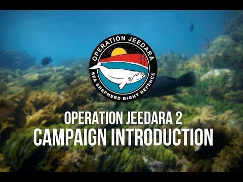 Operation Jeedara 2 - Campaign Introduction