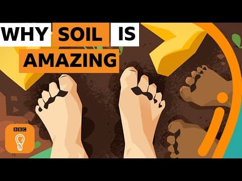 Why Soil Is One of the Most Amazing Things on Earth