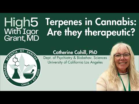 Are cannabis terpenes therapeutic?