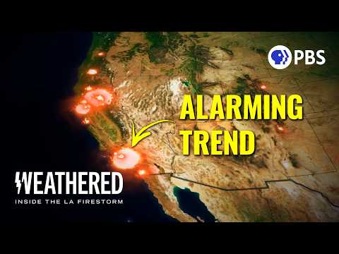 Anatomy of an urban firestorm