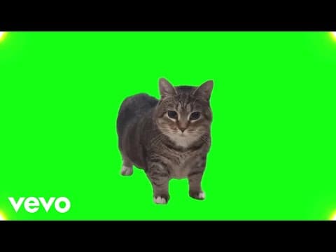 WiggleToons - OIIA OIIA (Spinning Cat)