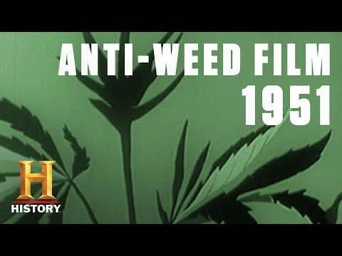 The Dangers of Marijuana Addiction, 1951