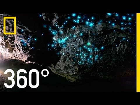 The glowworm caves of New Zealand in 360 degrees