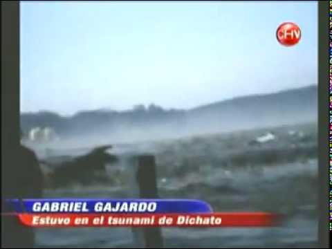 The 2010 Chile tsunami
