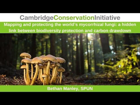 Mapping and Protecting the World's Mycorrhizal Fungi