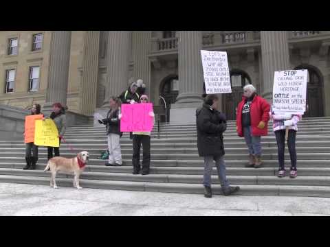 Edmonton Rally for Wild Horses
