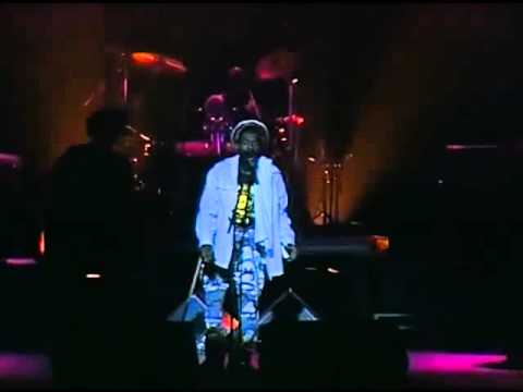 Israel Vibration - New Wave (Live Au Zenith - 1995)
