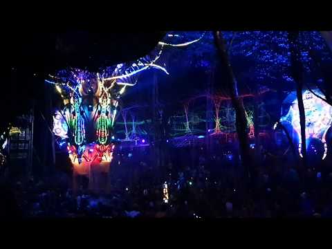 Zik and Orestis night filmed by an attendee
