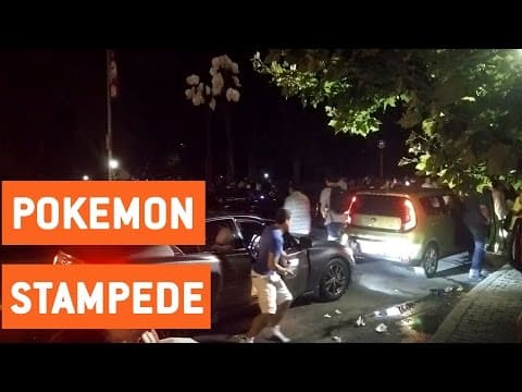 Central Park stampede - second angle