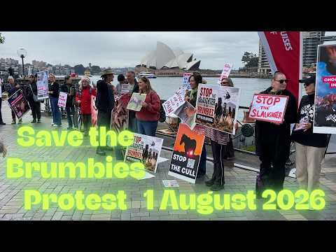 Save the Brumbies Protest. Circular Quay. 1 August 2026.