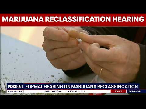 DEA hearing on marijuana reclassification opens