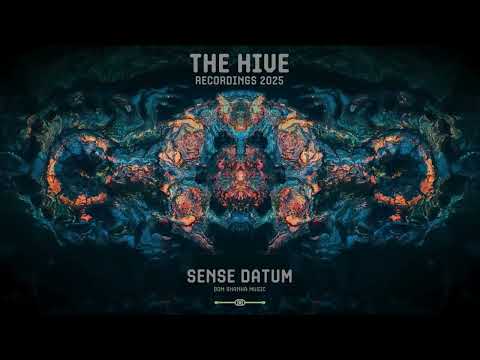 Sense Datum live at The Hive