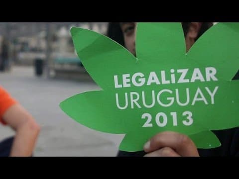 CNN: Uruguay Legalises Marijuana