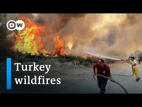 The 2021 Mediterranean wildfires
