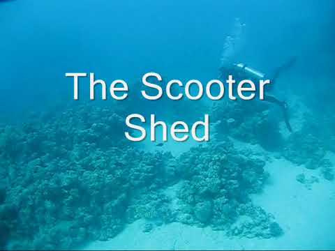 A dive on Conshelf Two, Sha'ab Rumi, Sudan November 2011