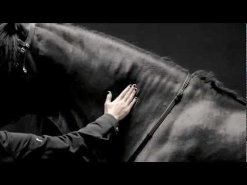 Hermès: Black rider / Le cavalier noir [commercial 2011]