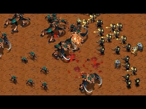 Flash vs Jaedong Return in 2024
