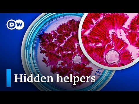 How Microbes Make Soil Healthy