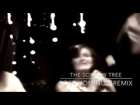 Moby - The Sorrow Tree (Post Hominum Remix)