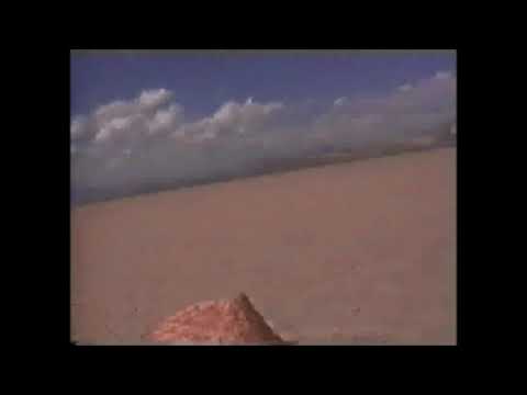Tracing the Cable at Burning Man 1995. Finding the Mermen