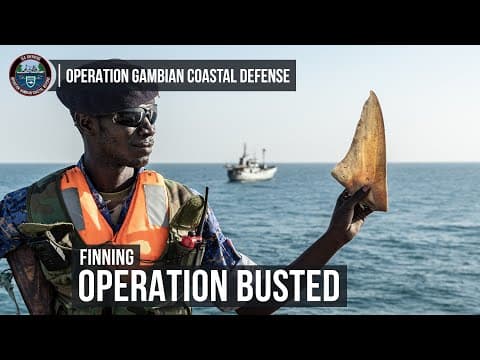 Finning Operation Busted in The Gambia