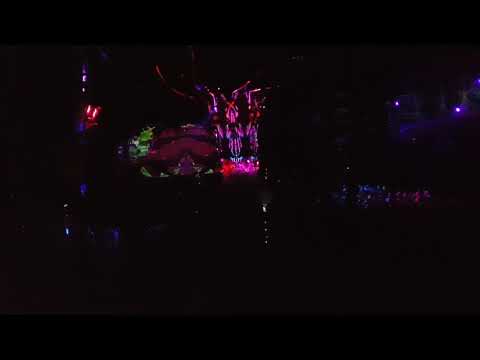 Ten minutes of attendee festival footage